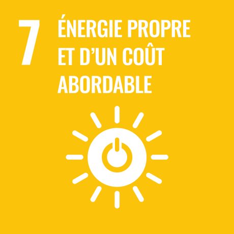 Objectifs de Développement Durable des Nations Unies