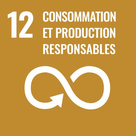 Objectifs de Développement Durable des Nations Unies