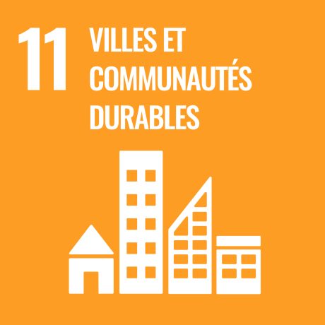 Objectifs de Développement Durable des Nations Unies
