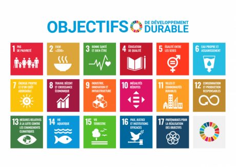 17 Objectifs de développement Durable des Nations Unies