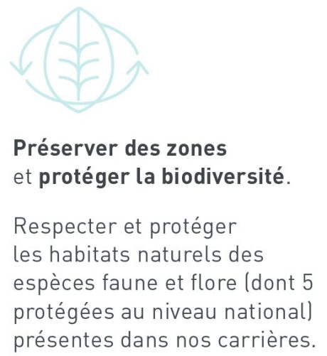 bulle forêt développement durable Wienerberger