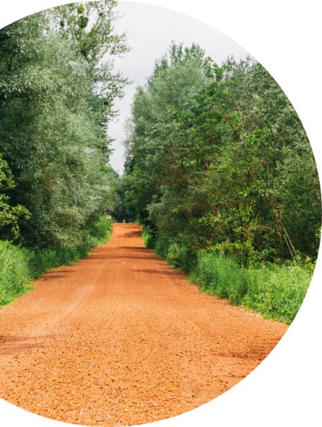 bulle forêt développement durable Wienerberger