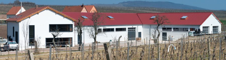 Bâtiment avec un seul étage. Mise en œuvre toiture. Domaine viticole Anstotz et Fils, 11 rue des Hirondelles 67310 Balbronn. Brique Porotherm R37. Tuile Koramic Tradi 12 Rouge.