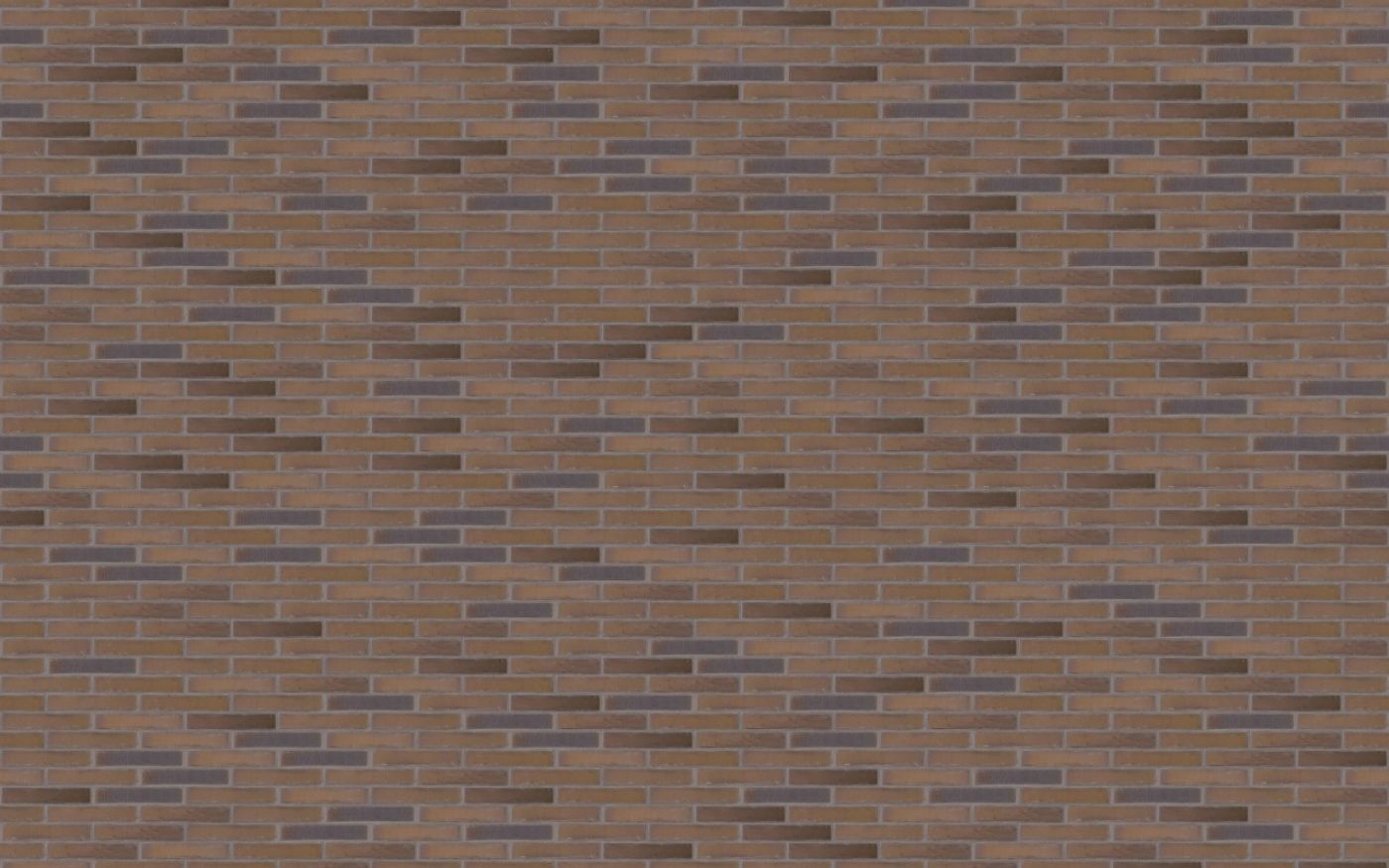 Texture Linnaeus Quercus