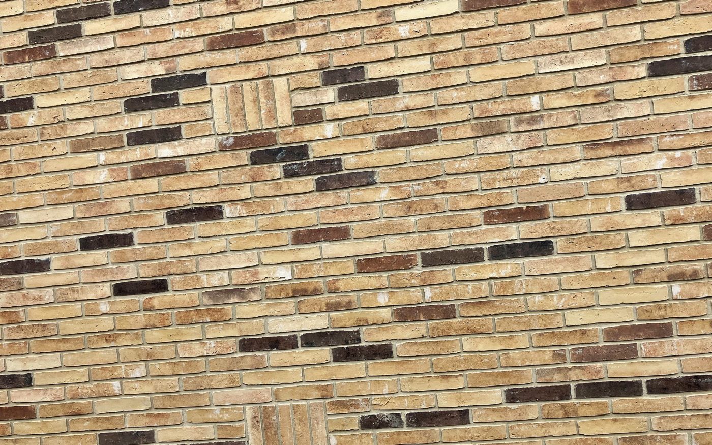 Garderie à Lede en Belgique avec la brique Agora noir graphite et Basia rouge espagnol