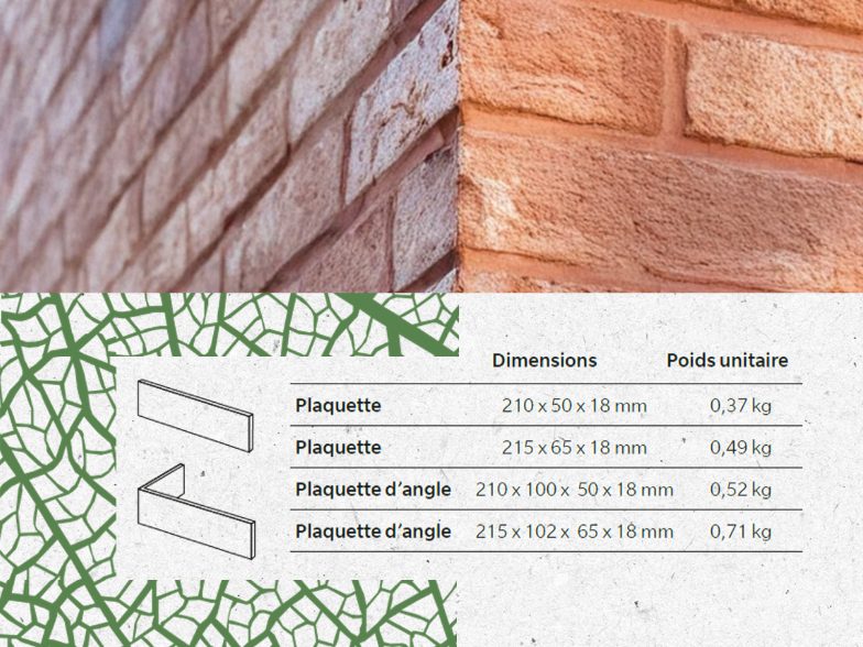Phaunis les dimensions