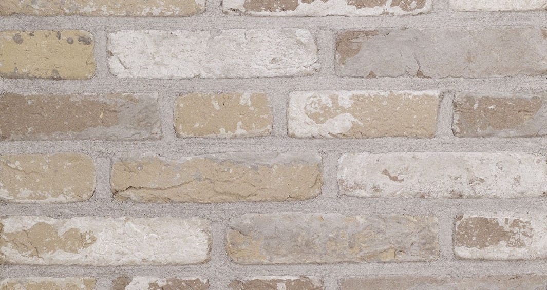 La gamme rustica terca