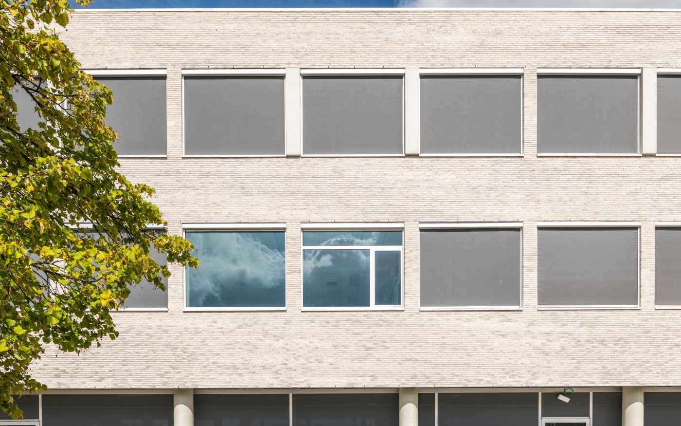 Renovation école à Bilzen en Metropolis Blanc Dover