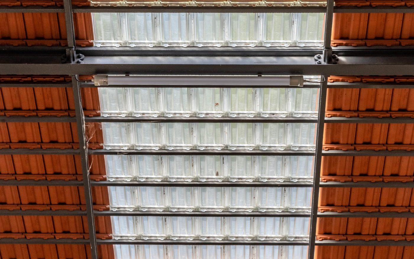 Centre équestre tuile transparente wienerberger