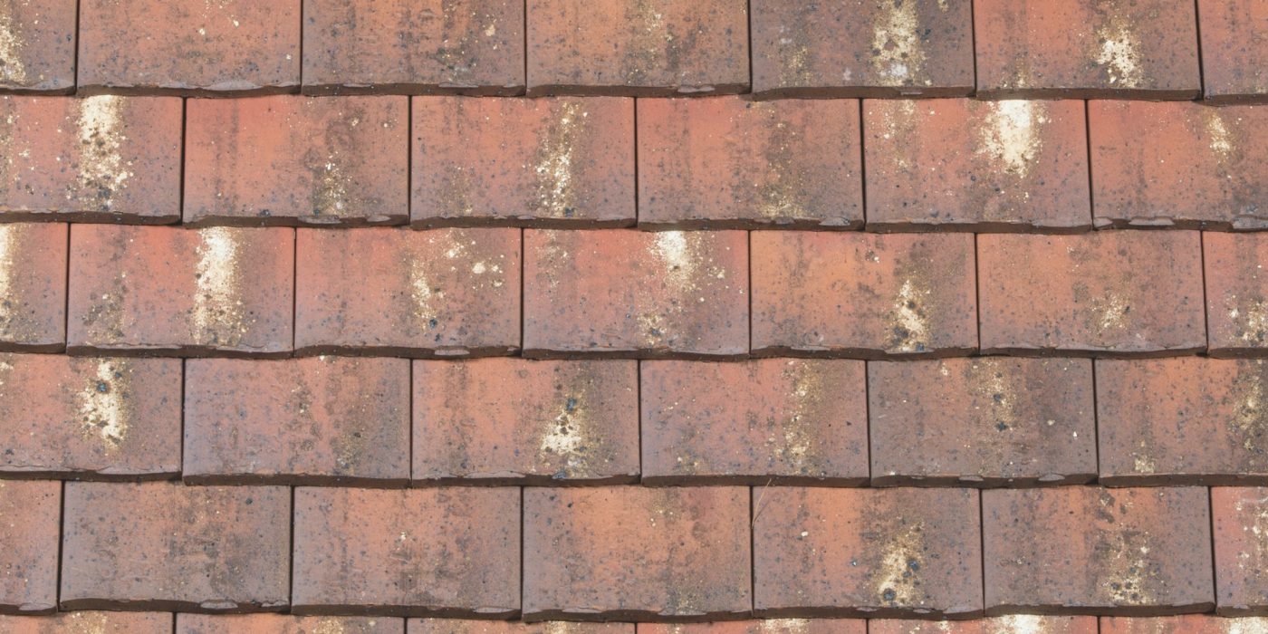 Panneau Esprit Patrimoine Vert de lichen