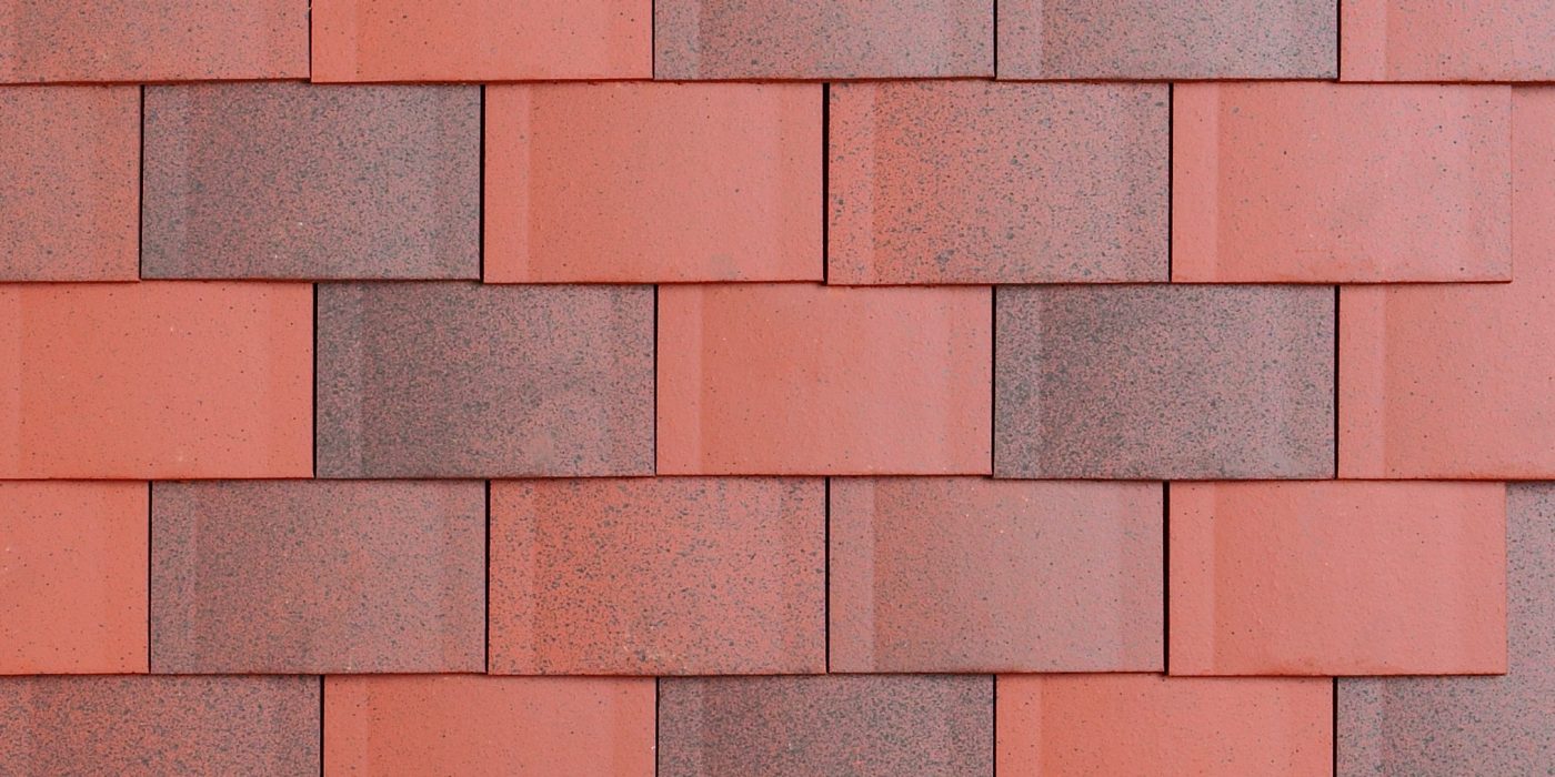 Plate 18 x 38 Ecaille Vieux Vinzel