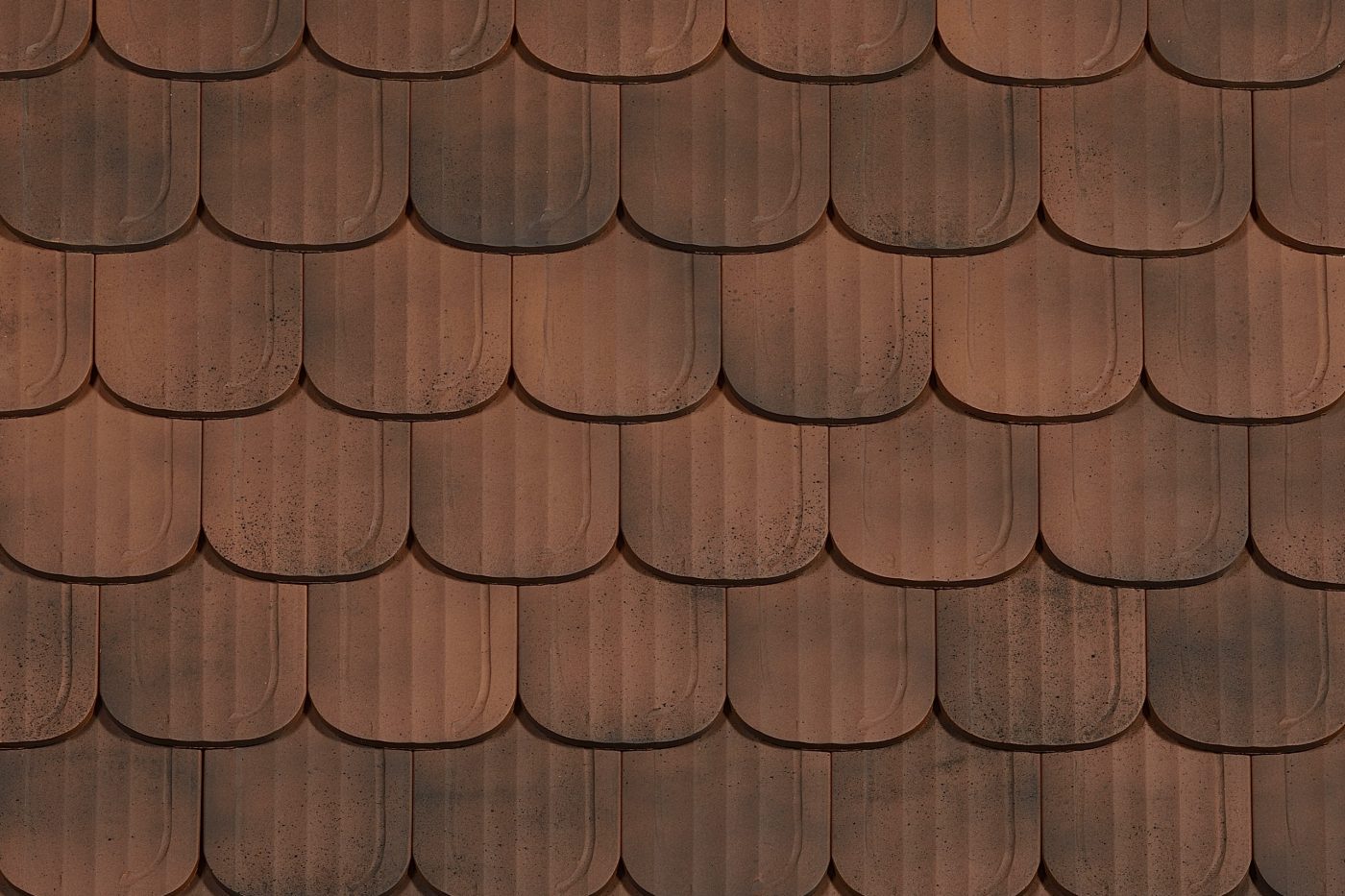 Panneau Plate 16x38 Ecaille Sainte-Odile Terre d'Alsace