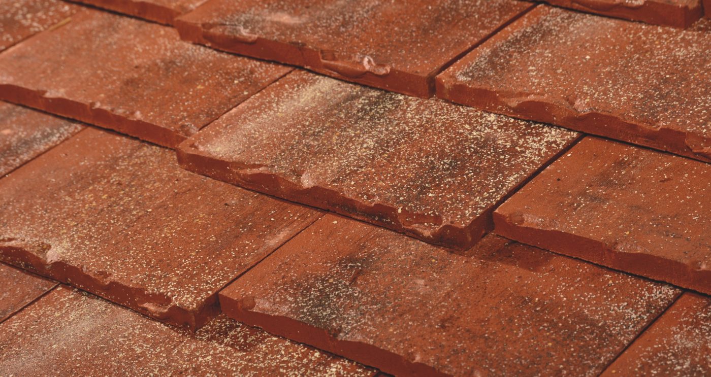 Panneau Plate 18 x 38 Écaille rouge