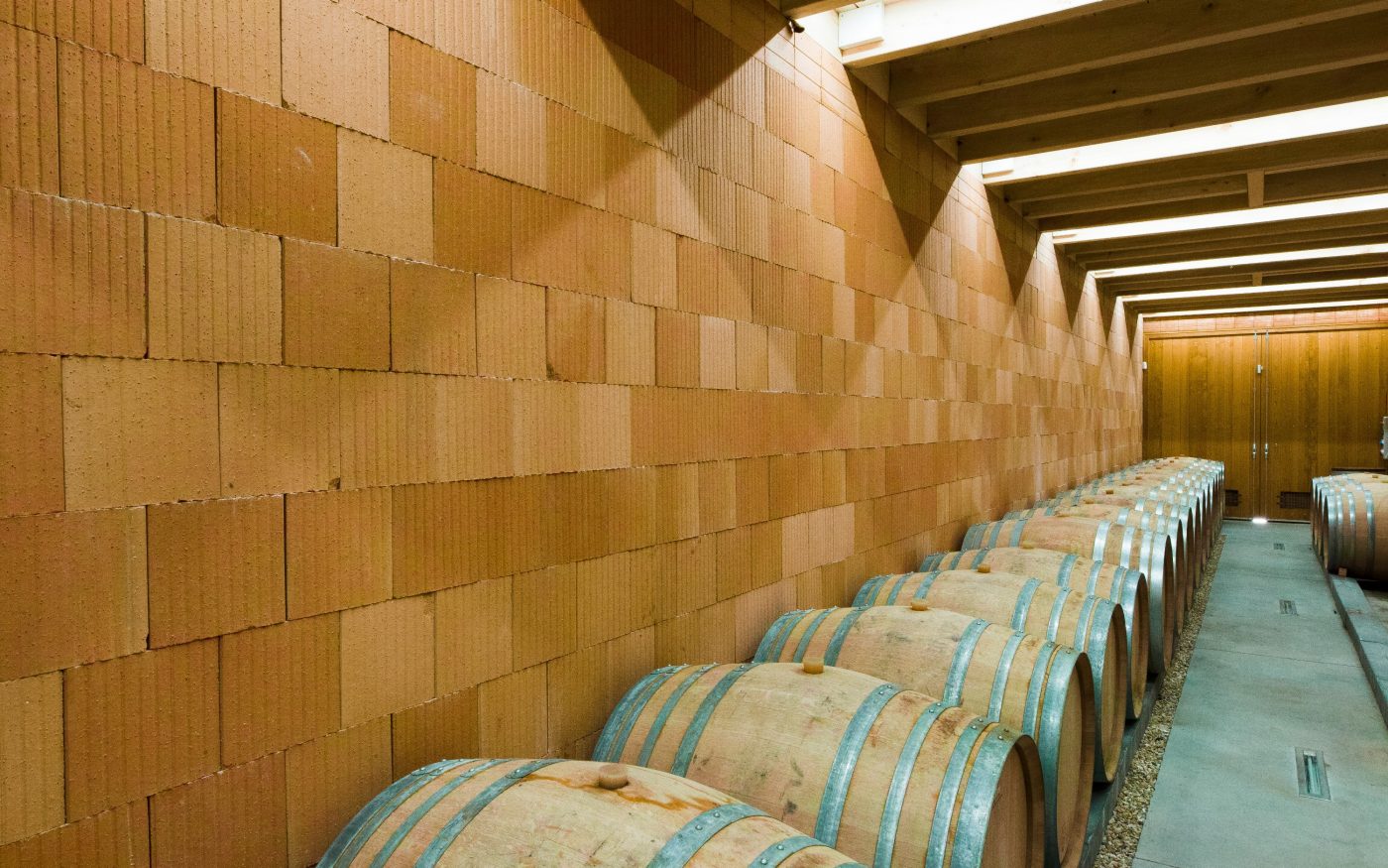 Domaine viticole Jean-Pierre MICHEL, 955 route le Quintaine Lieu-dit Quintaine 71260 CLESSE. Briques de structure Climamur 30.