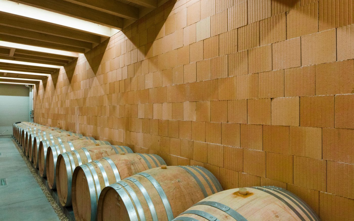 Domaine viticole Jean-Pierre MICHEL, 955 route le Quintaine Lieu-dit Quintaine 71260 CLESSE. Briques de structure Climamur 30.