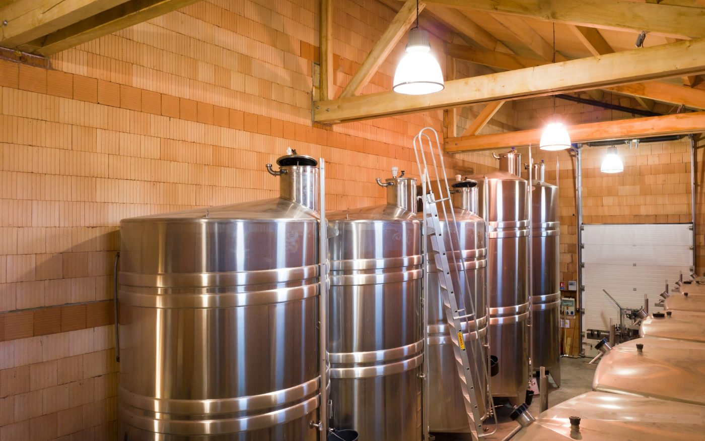 Domaine viticole Jean-Pierre MICHEL, 955 route le Quintaine Lieu-dit Quintaine 71260 CLESSE. Briques de structure Climamur 30.