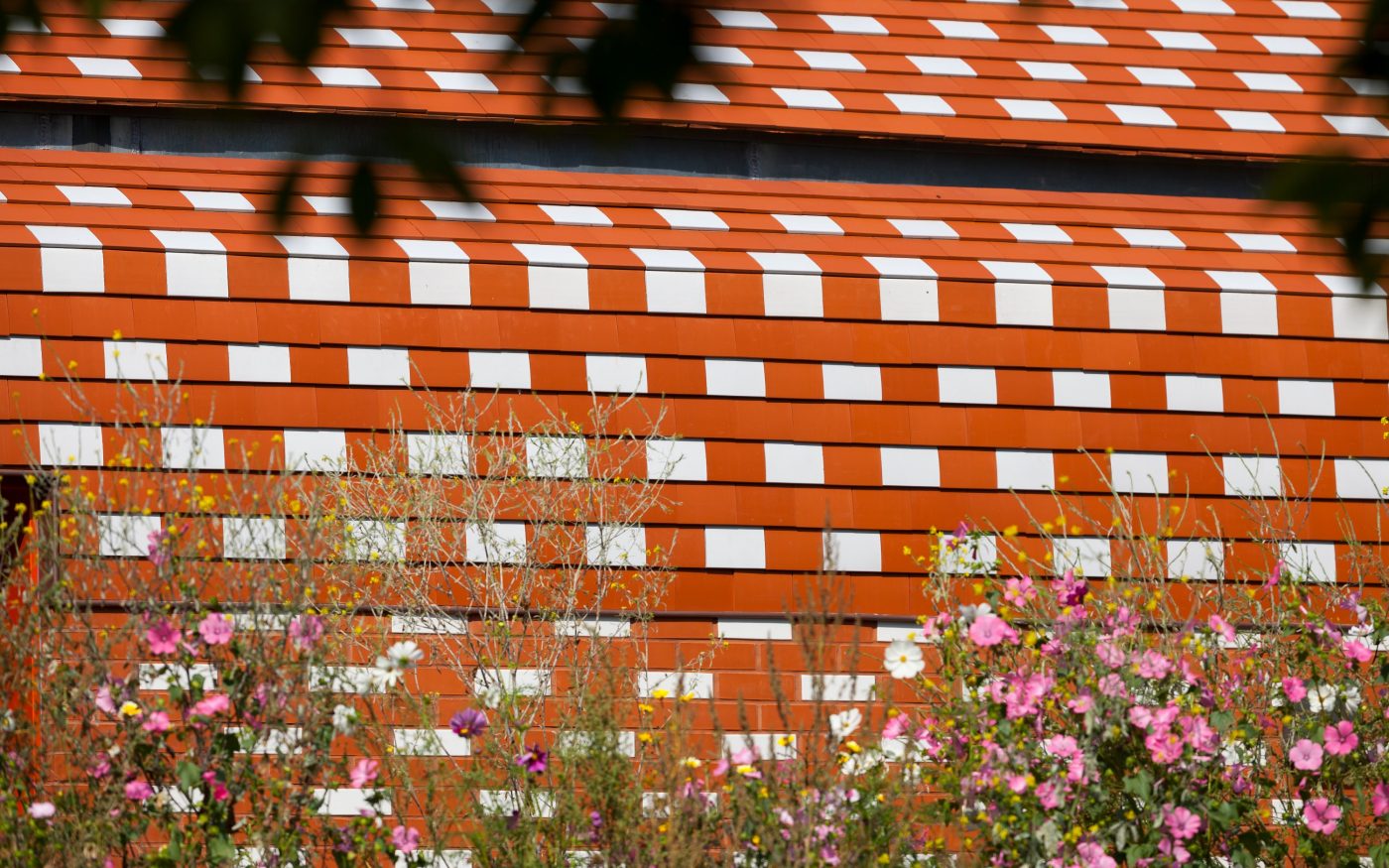 Rénovation salle Laurent Prévost à Santes