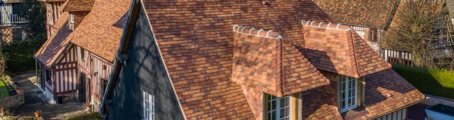 Monde Aleonard Tuile Aleonard Patrimoine Laureat 1er chantier et coup de coeur de l'internaute trophees Aleonard 2019 Jen-Luc Verron couverture Ponsignon Evelyne