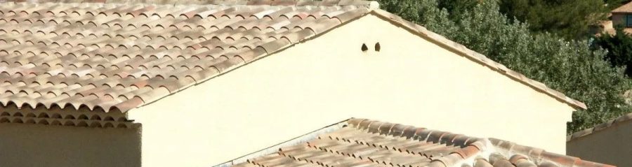 Solterre Services: simplifiez vos projets solaires
