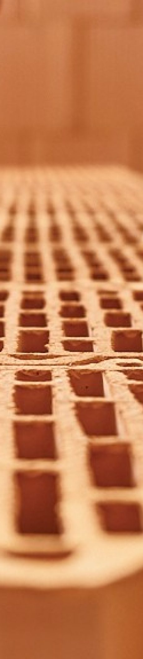 Porotherm Profi DryFix.Extra