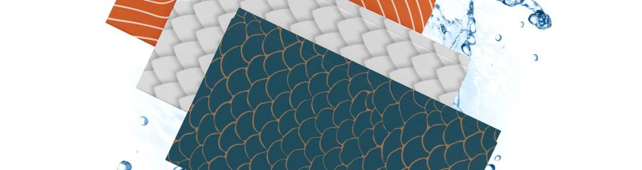 Nouvelle Collection Fictilis Piscis