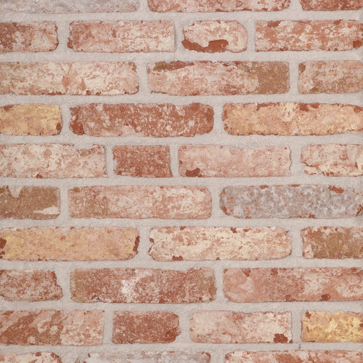 Collection Belle Epoque de Mons