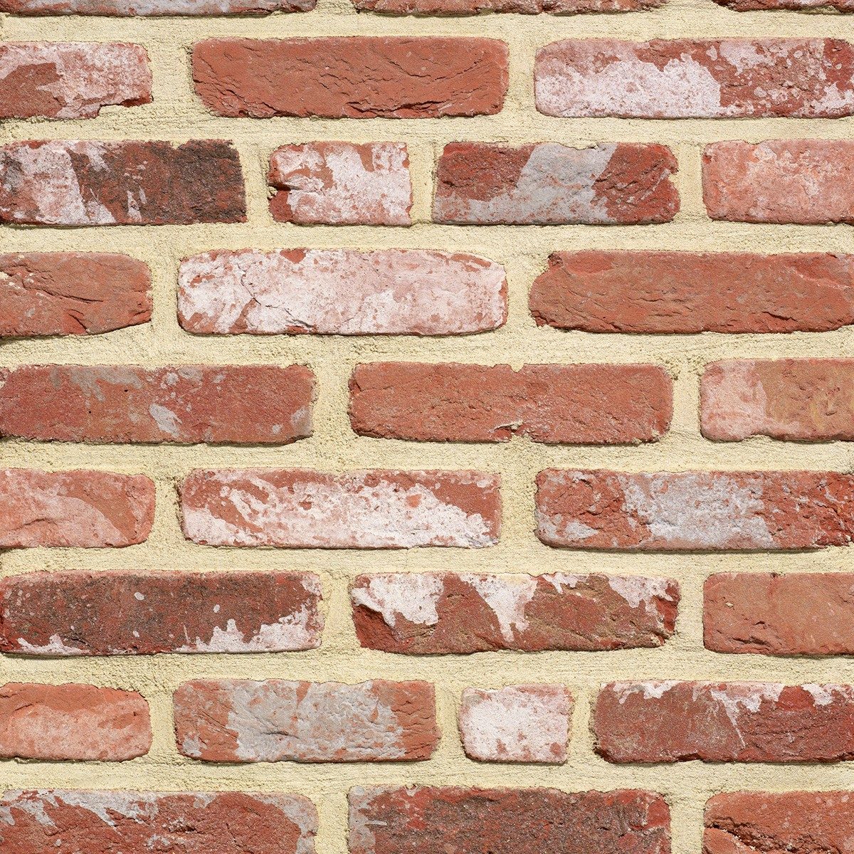 Collection Rustica Oud Kempisch