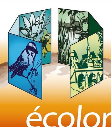 logo du bureau d'étude écolor