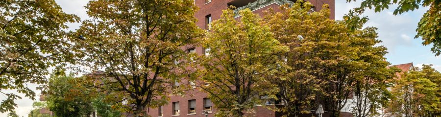 Logement sociaux et local associatif - St Denis