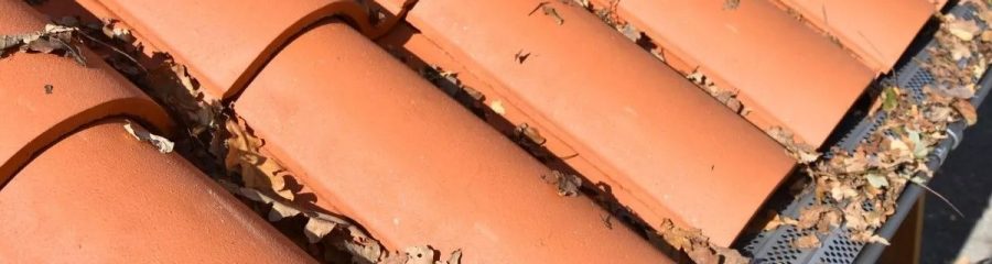 Comment protéger sa gouttière ?
