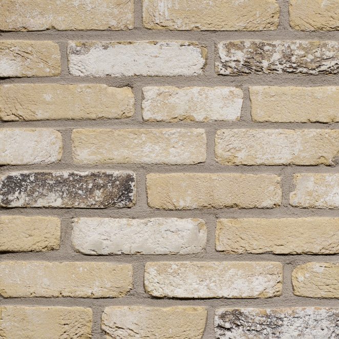 Productshot of the Oud Damme HV M50 brick
