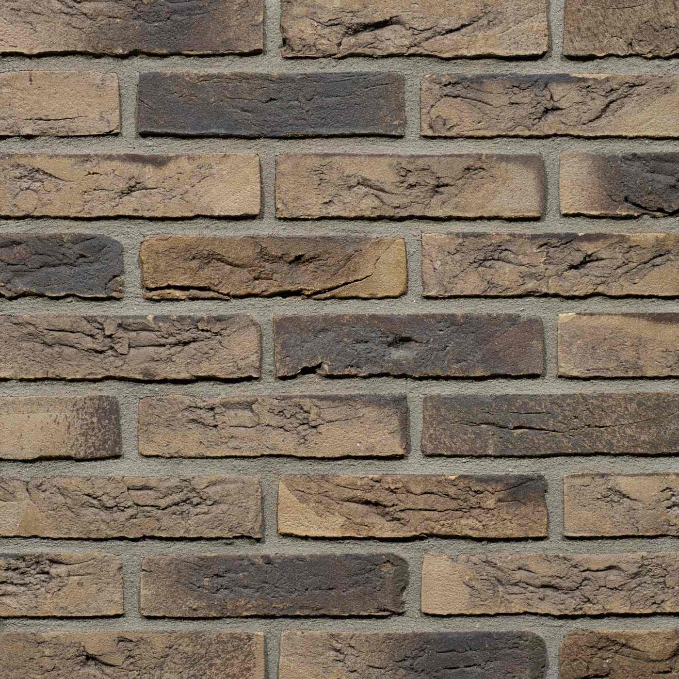 Productshot of the Polaris HV WF brick