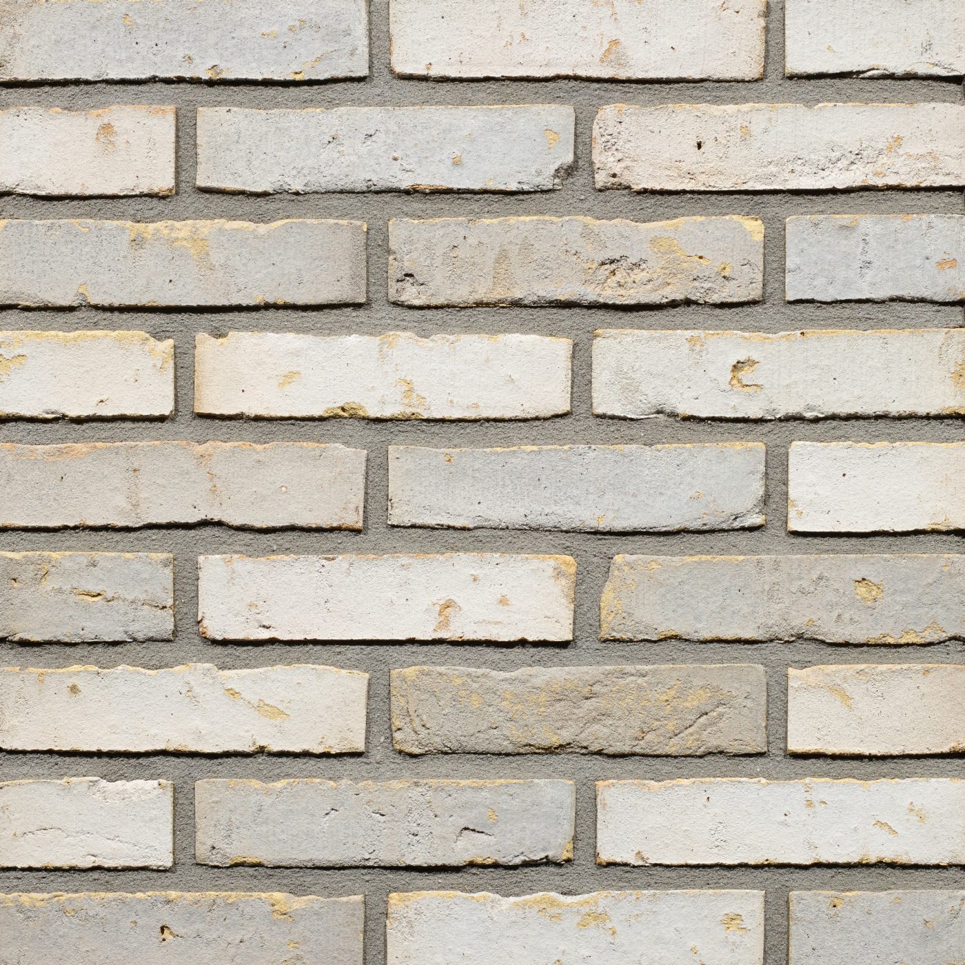 Productshot of the Mystic Falls WS WF brick
