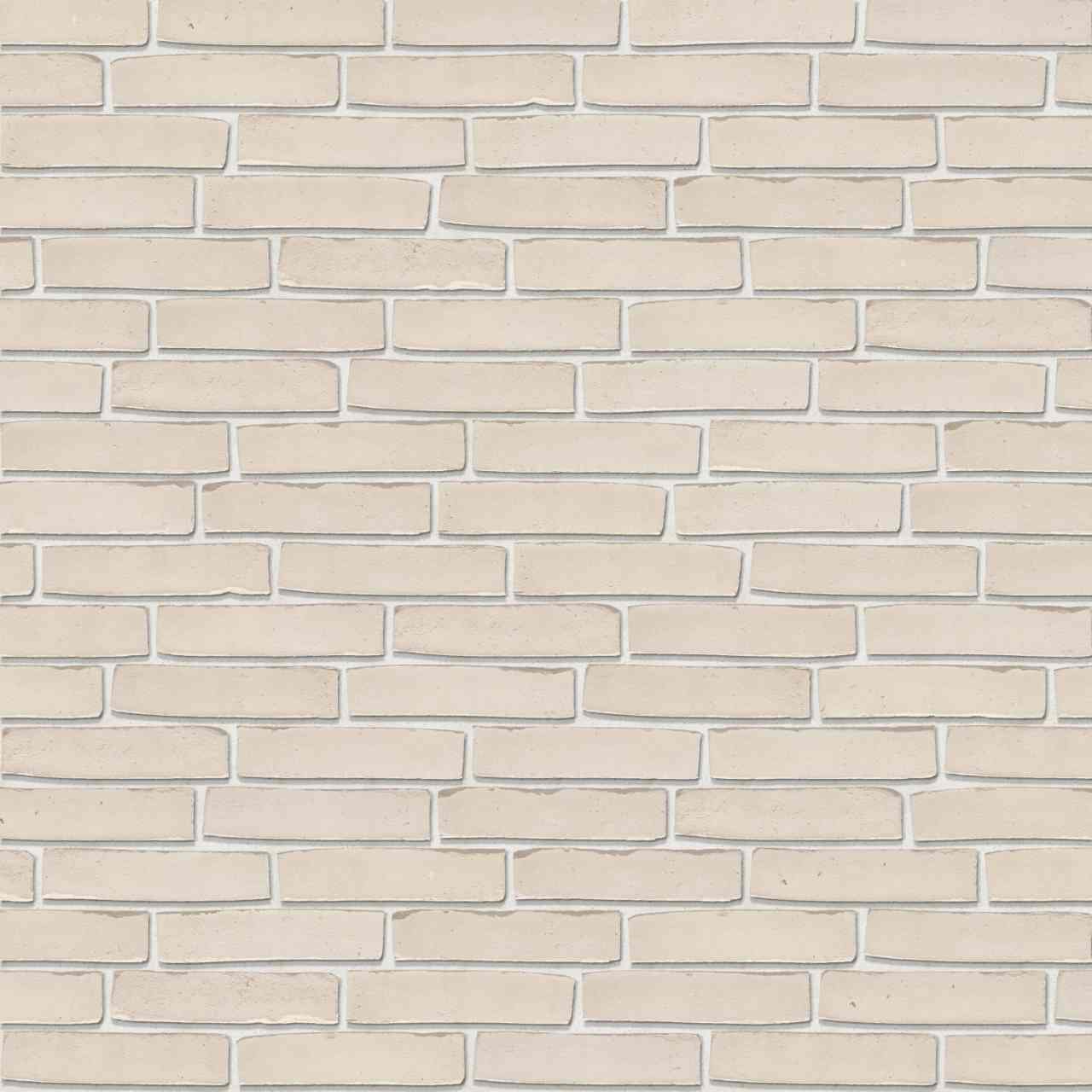 Packshot of Terca Amfora Puro Wit