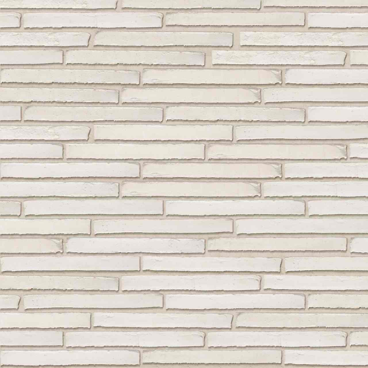 Packshot of Wasserstrich Special Alaska Wit facing bricks