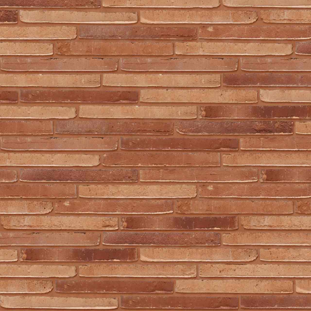 Packshot of Wasserstrich Special Atica Rood facing bricks