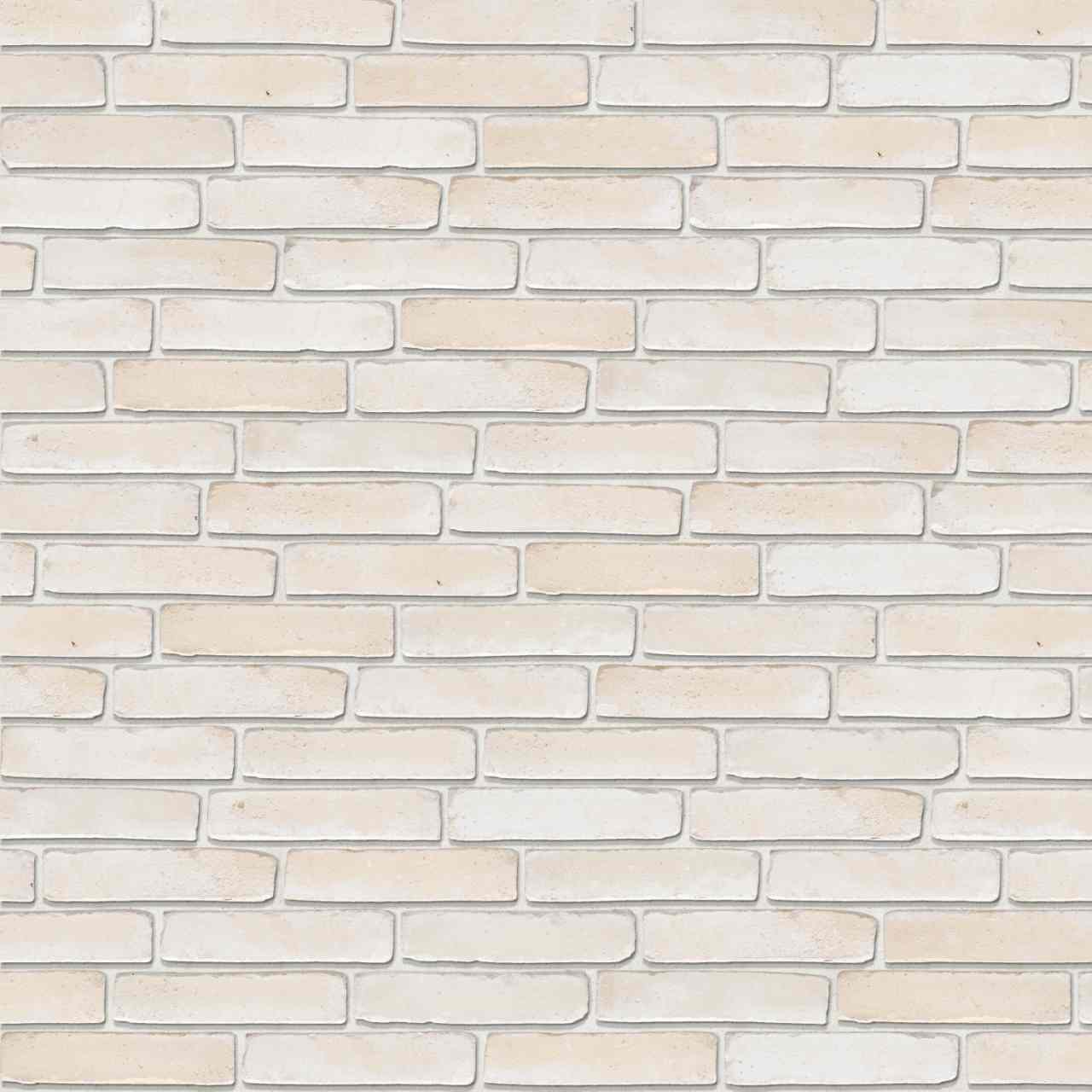 Packshot of Terca Nubilum Velum Beige facing bricks