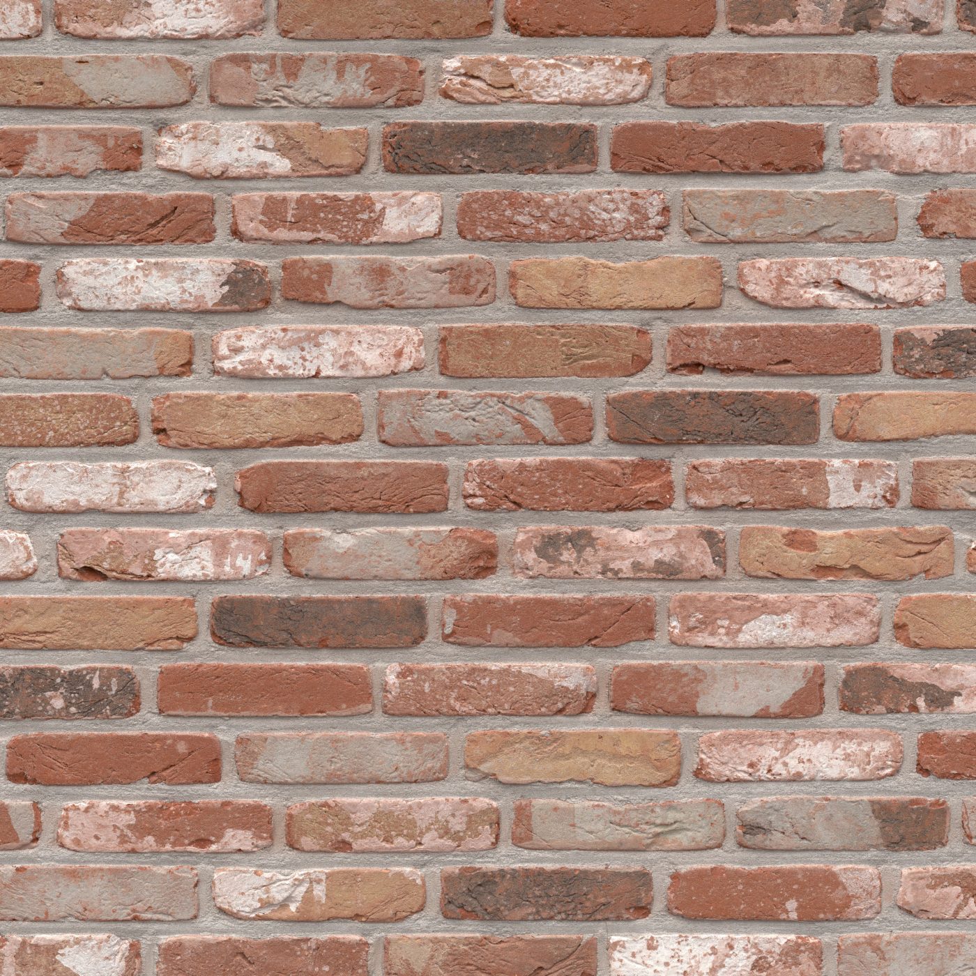 Packshot of a panel with Rustica Oud Kempisch