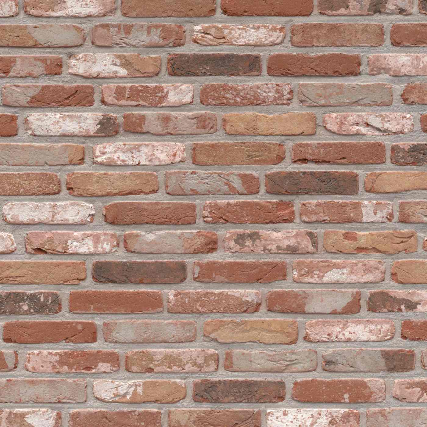 Packshot of a panel with Rustica Oud Kempisch