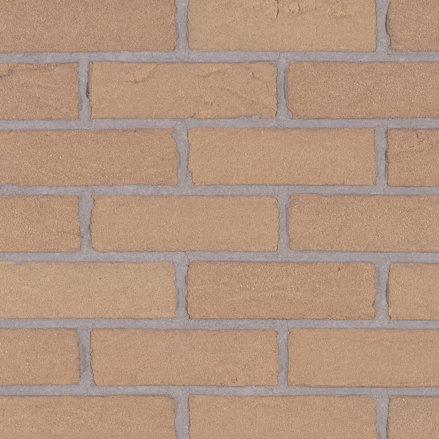 Productshot of the Saxon Beige HV EF Strip 18 mm