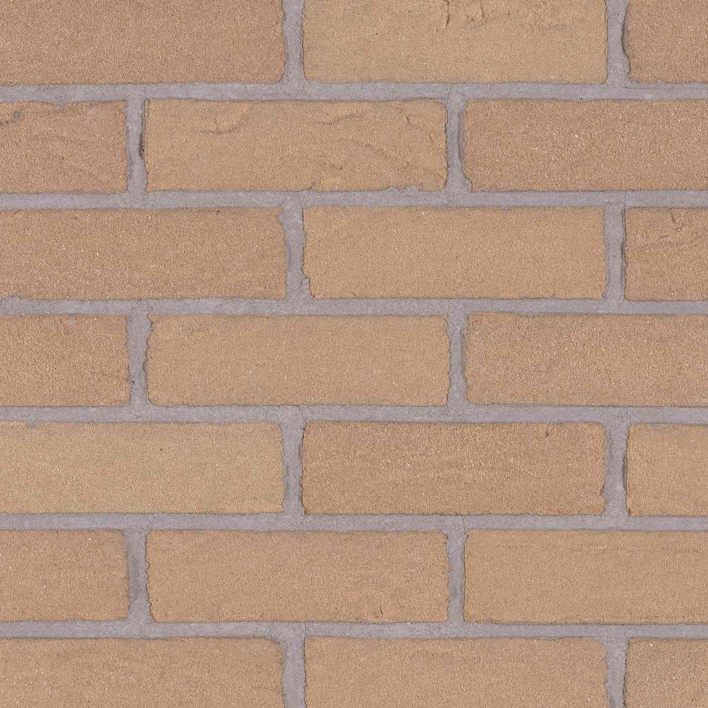 Productshot of the Saxon Beige HV EF Strip 18 mm