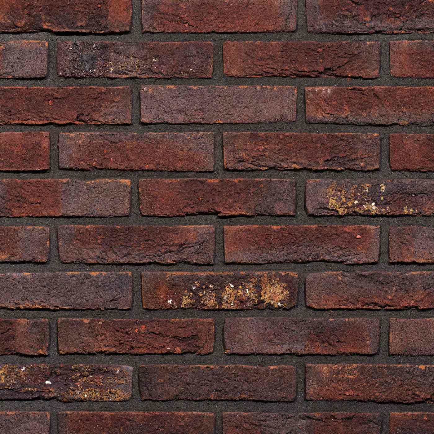 Productshot of the Blauwrood Genuanceerd Gesinterd HV WF brick