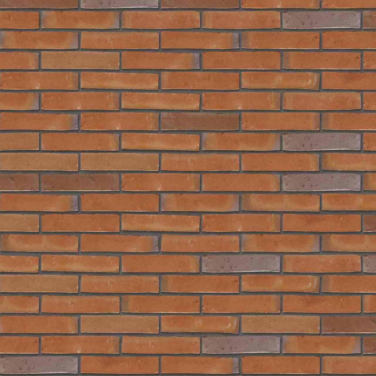 Packshot of Terca Milosa Goudsbloem facing bricks