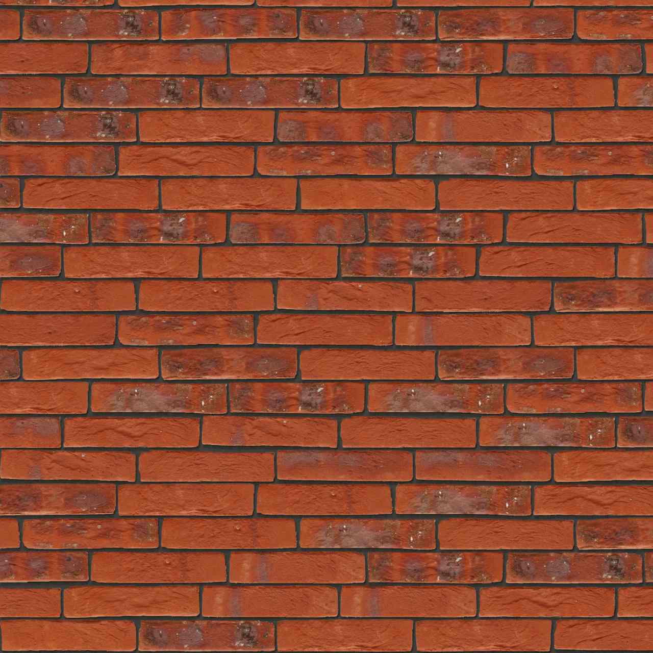 Packshot of Terca Iberia Catalunya