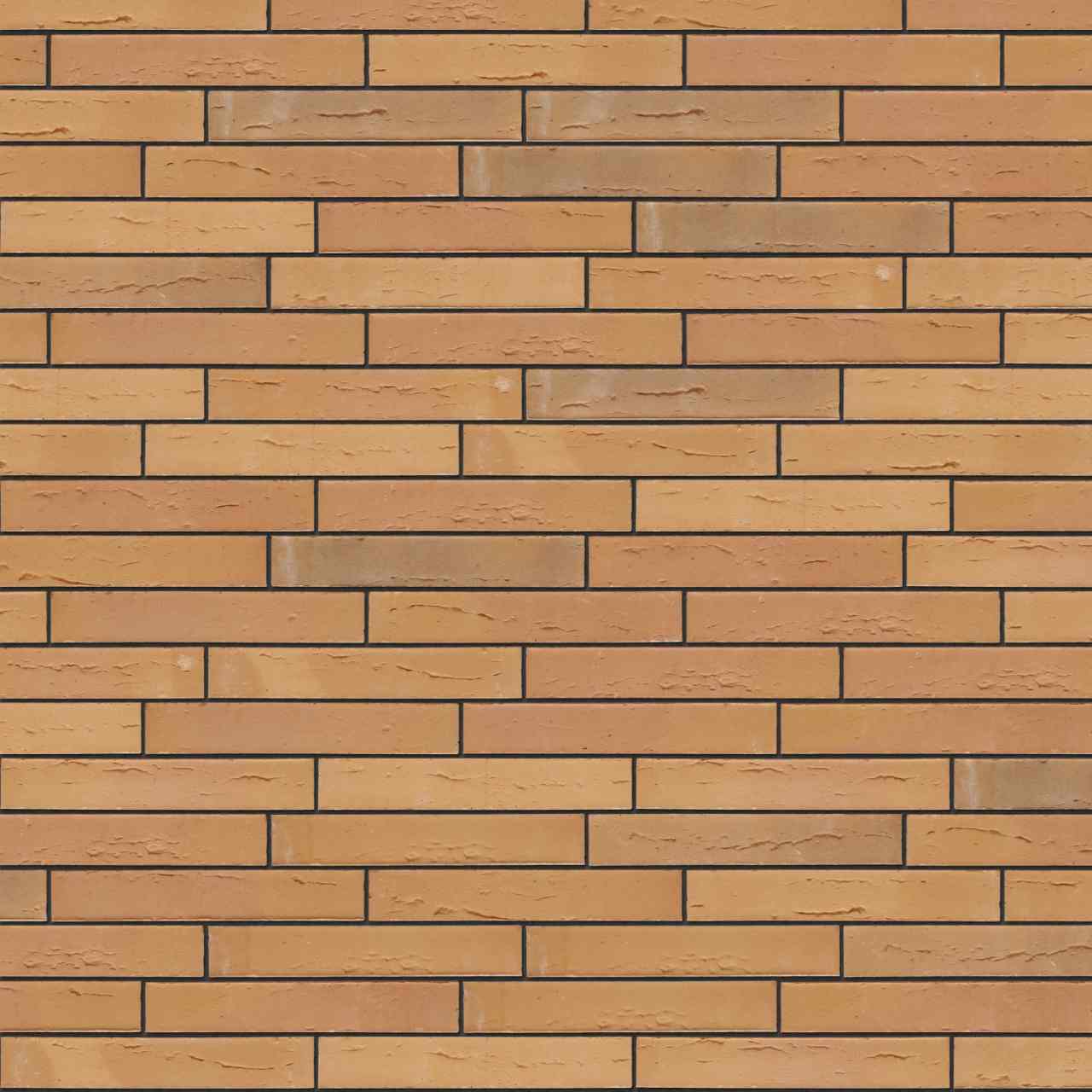 Packshot of Terca Elignia Betula facing bricks