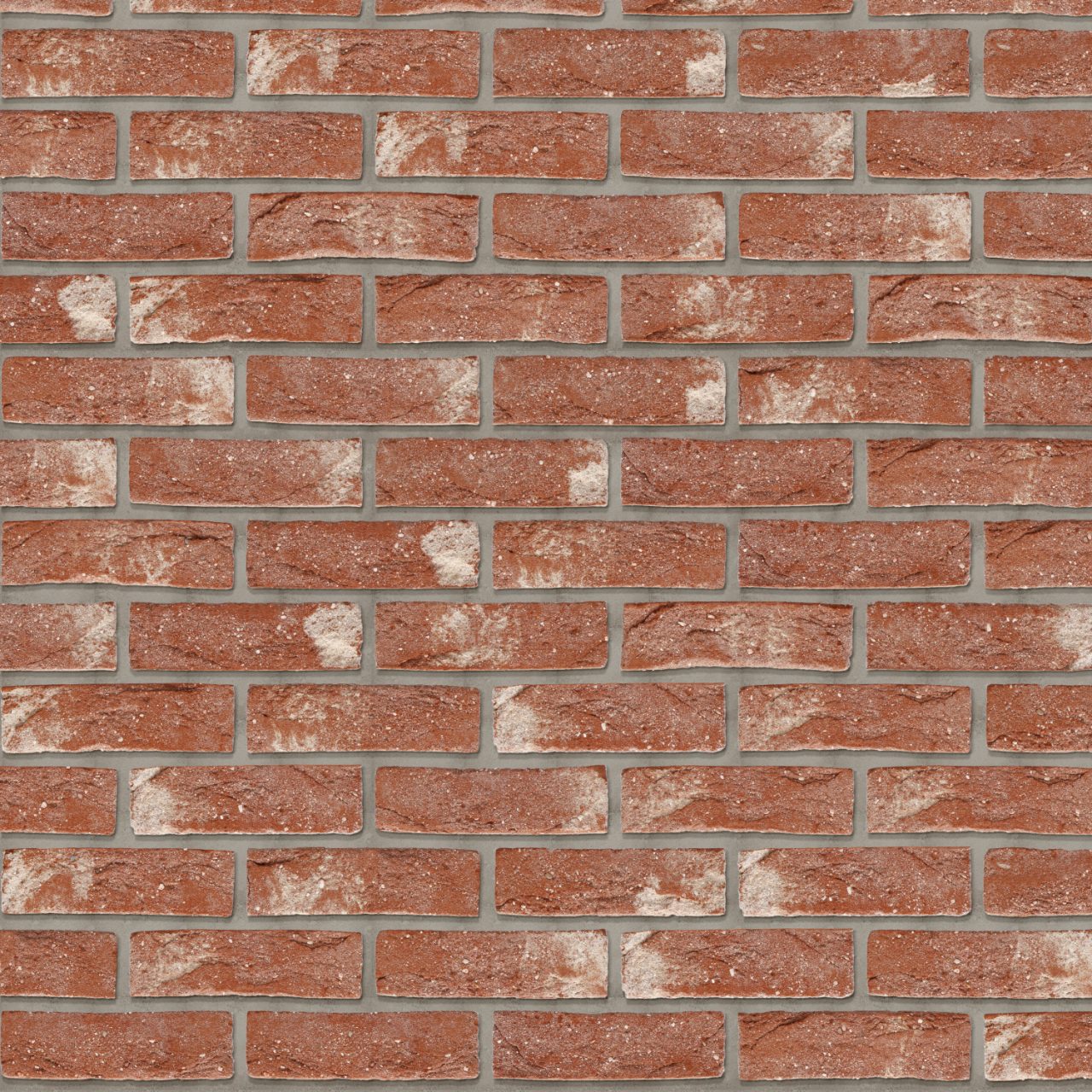 Packshot of a texture with Patrimonia Neo Romaans