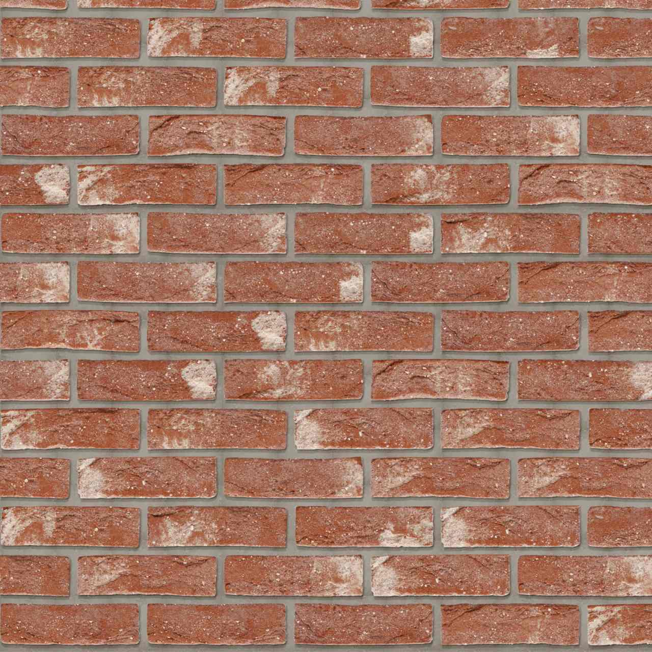 Packshot of a texture with Patrimonia Neo Romaans