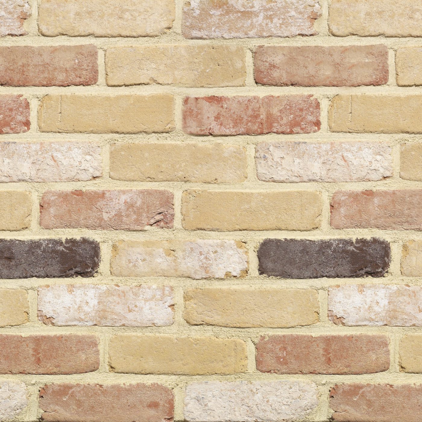 Packshot of a panel with Rustica Oud Beauvoorde