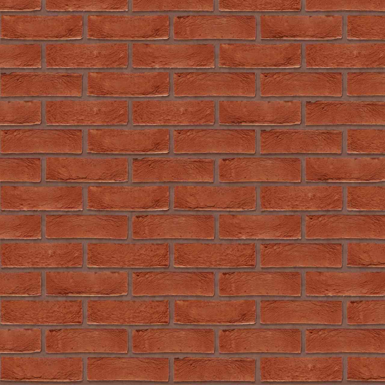 Packshot of Terca Pagus Donkerrood facing bricks