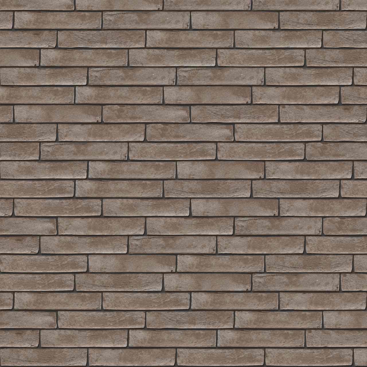 Packshot of Pagus Grijs facing bricks